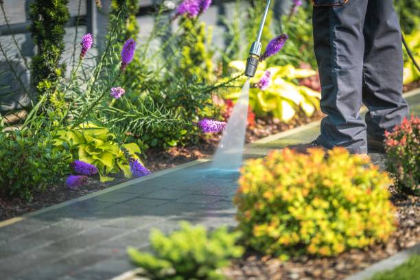 Best Commercial Pressure Washing in Old Jamestown, MO