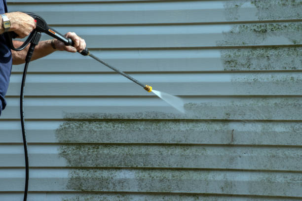 Best Roof Cleaning and Mildew Removal in Old Jamestown, MO